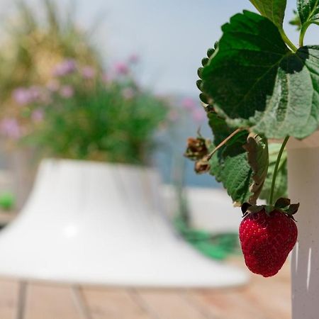 Dreamy Aegean View Apartment Athens Exterior photo